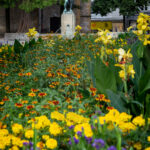 Blumenbeet vor dem Leineweber